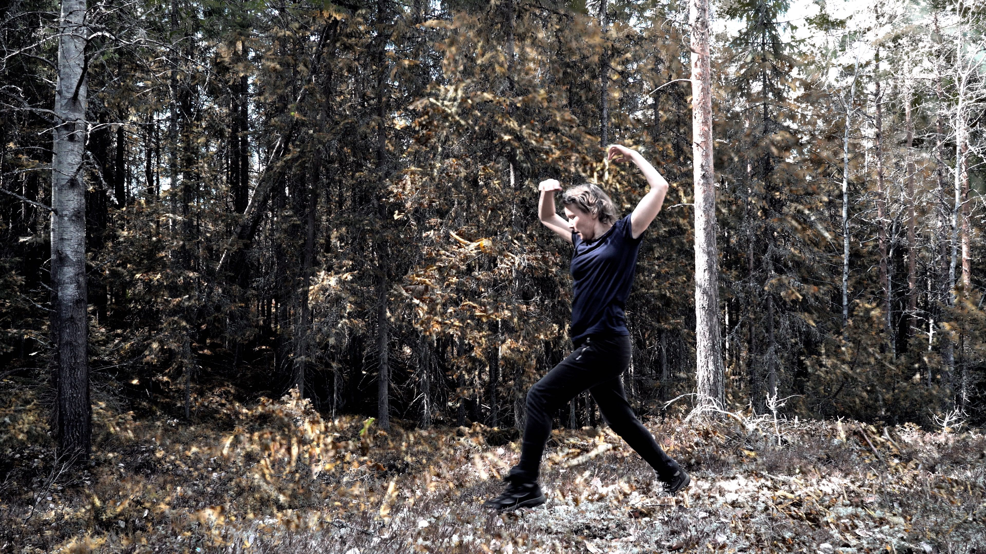 Ota nämä koteloidut sanat