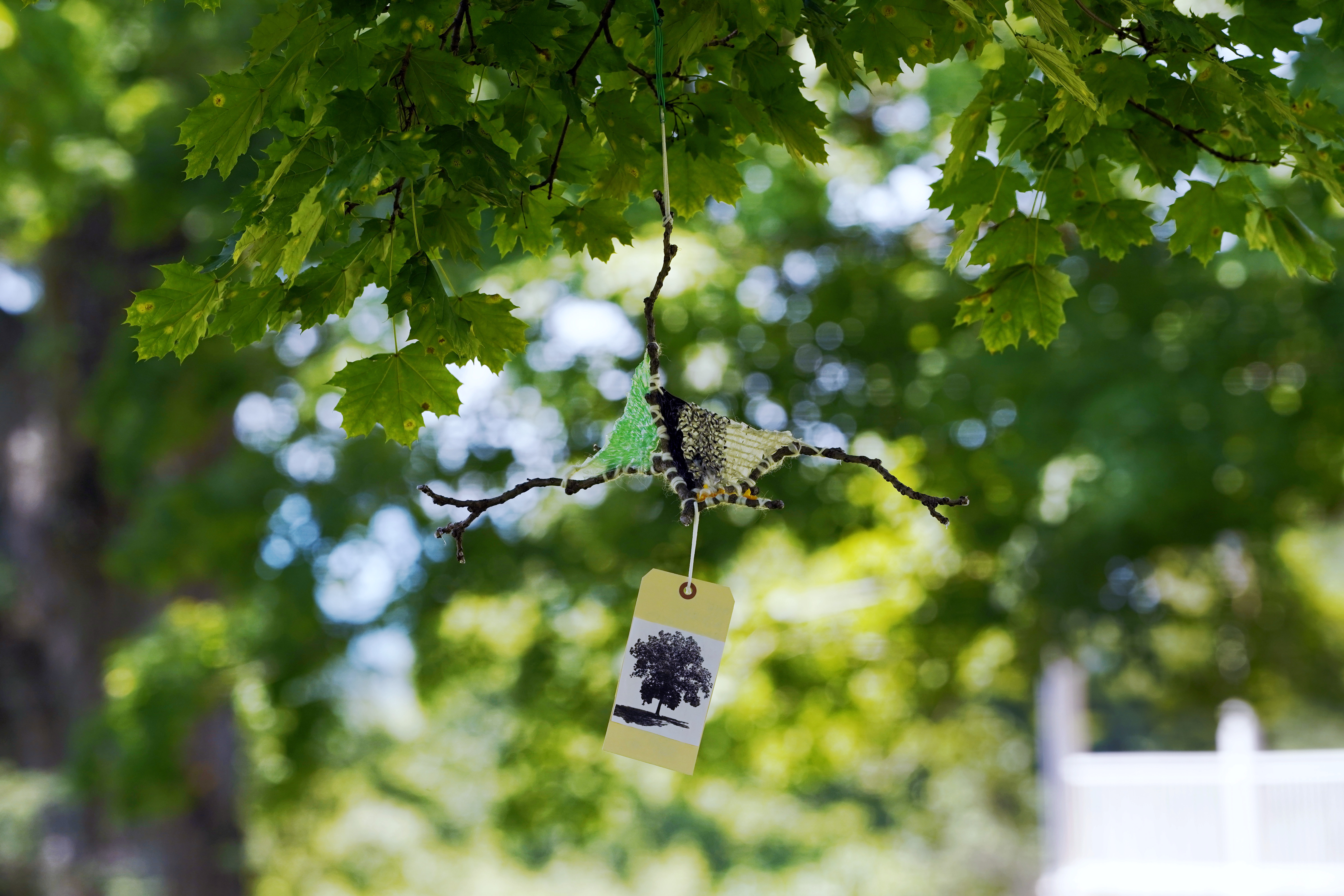 Tree Flag